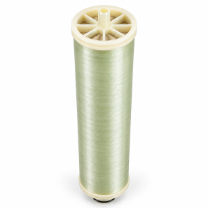 SCHENKER MEMBRANE 2521